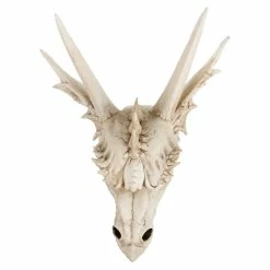 Wall Decoration The Last Dragon Skull -Blankets, bed linen, pillows Shop 118269 q027