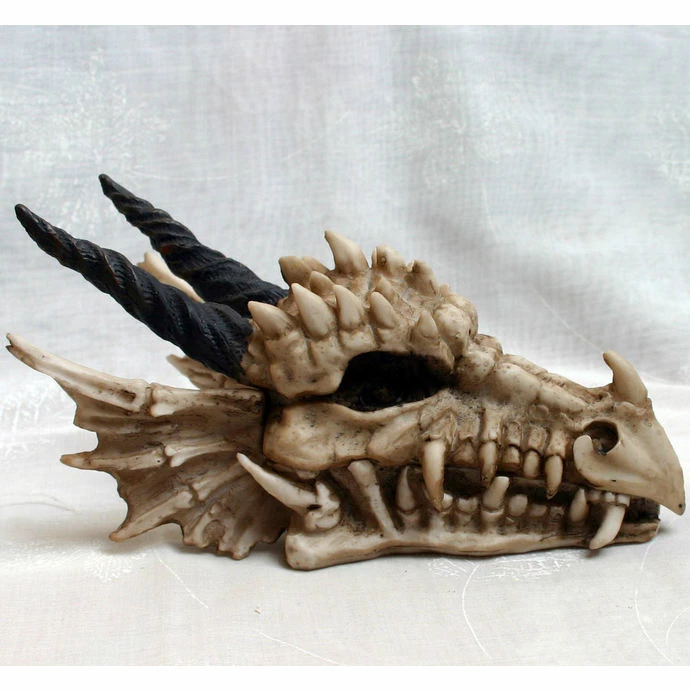 Box (decoration) Dragon Skull 6 Box (decoration) Dragon Skull - Image 4
