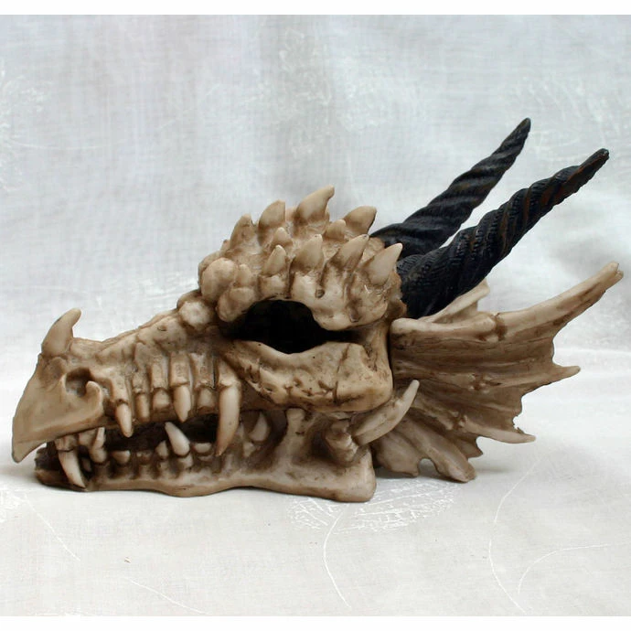 Box (decoration) Dragon Skull 8 Box (decoration) Dragon Skull - Image 6