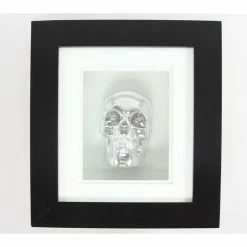 Image Silver Skull In Frame