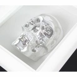 Image Silver Skull In Frame -Blankets, bed linen, pillows Shop 81123 2