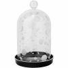 Decoration (jar For Succulents) KILLSTAR - Empyrean Display Dome