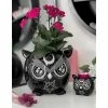 Decoration (flowerpot) KILLSTAR - Owl - Black -Blankets, bed linen, pillows Shop OWL PLANTER B