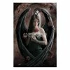 Poster Anne Stokes (Angel Rose) - PP32093 -Blankets, bed linen, pillows Shop PP32093 511x768 1