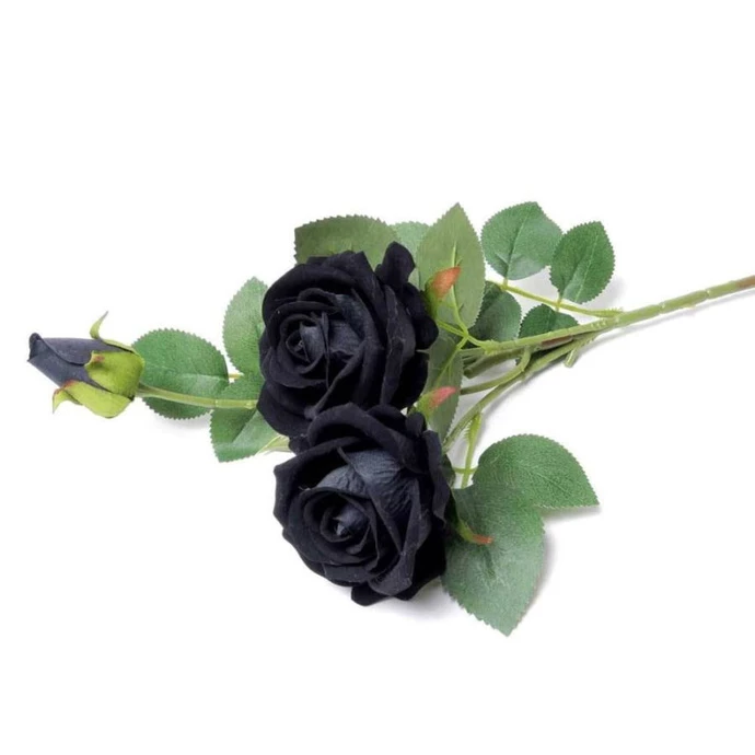 Decoration ALCHEMY GOTHIC - Black Rose 4 Decoration ALCHEMY GOTHIC - Black Rose - Image 2