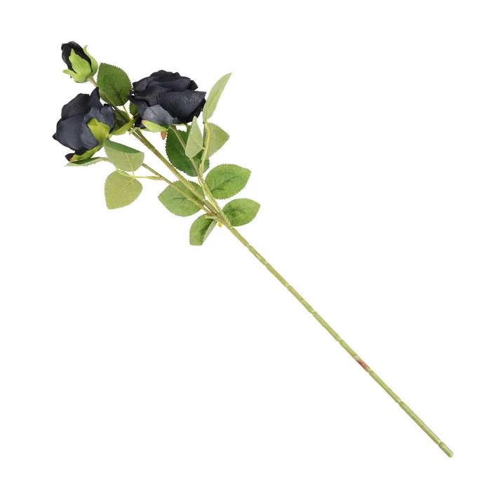 Decoration ALCHEMY GOTHIC - Black Rose 7 Decoration ALCHEMY GOTHIC - Black Rose - Image 5